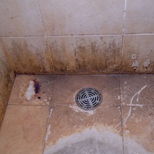 5d4399_7c9a0d88412f46afac8565aa6ebed57f~mv2